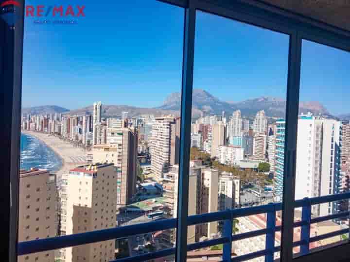 Apartment for rent in Benidorm