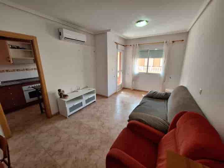 Apartment for rent in Torrevieja