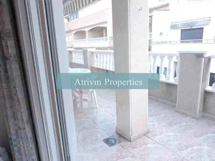 Apartment for rent in Torrevieja