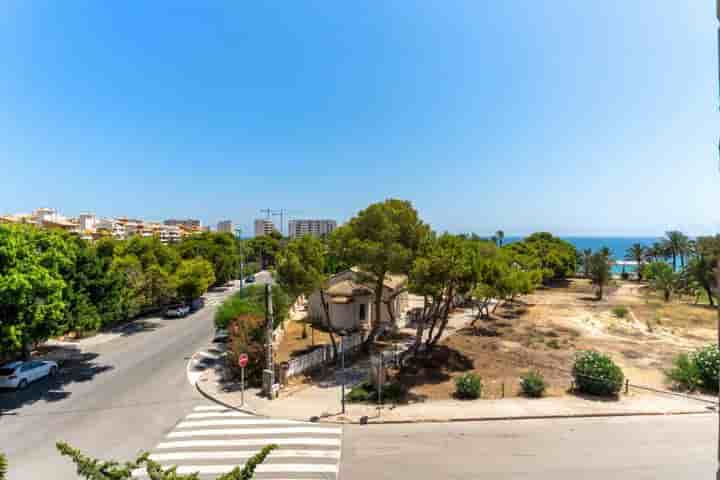 Apartment for sale in Punta Prima