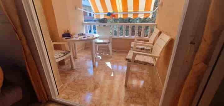 Apartment for rent in Centro