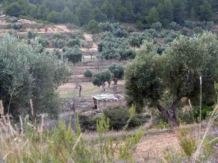 House for sale in Valjunquera