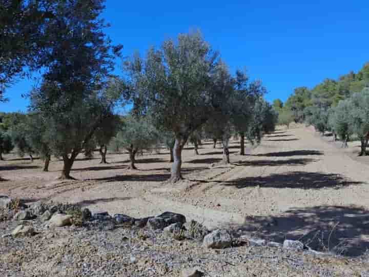 Maison à vendre à Arens de Lledó