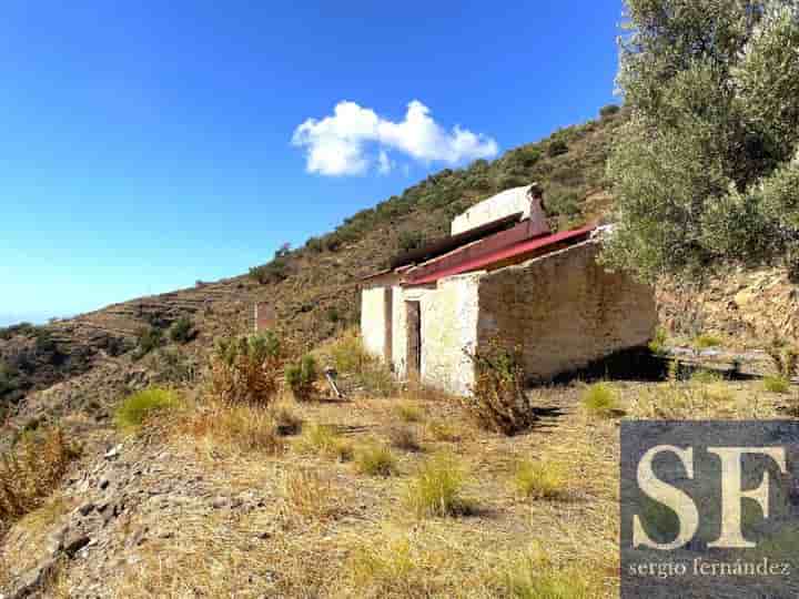 Maison à vendre à Cómpeta