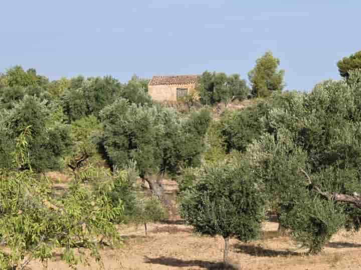 Maison à vendre à Maella