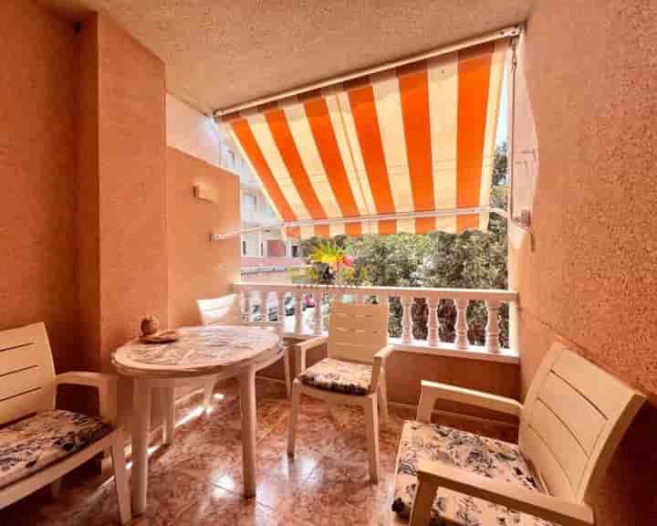 Apartamento en alquiler en El Molino