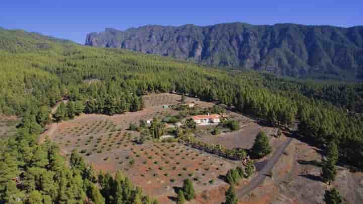 Hus till salu i Santa Cruz de Tenerife