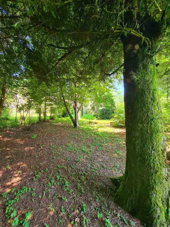 Maison à vendre à La Salvetat-sur-Agout