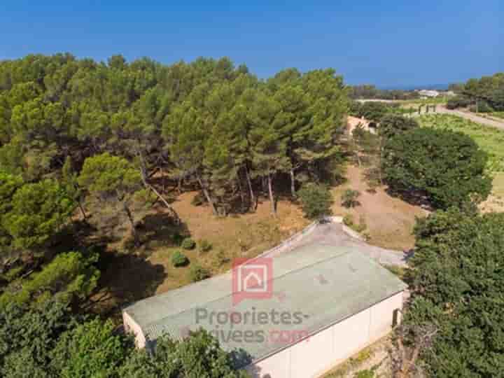 Maison à vendre à Vacqueyras