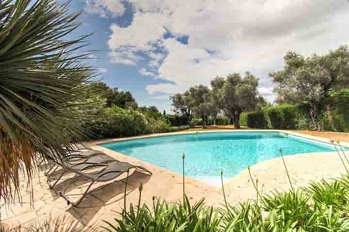 Maison à vendre à Vence