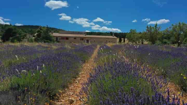 Casa para venda em 