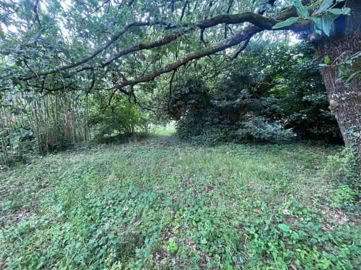 House for sale in meschers sur gironde