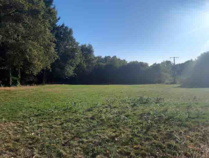 Other for sale in 