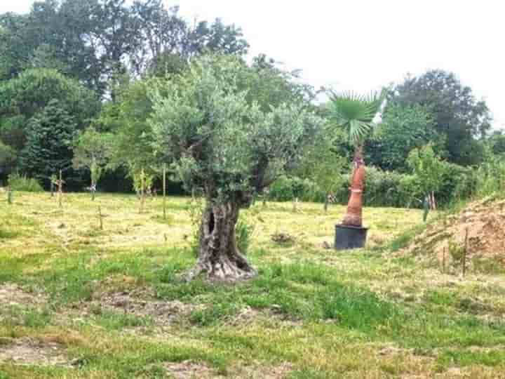 Casa para venda em Saint-André-de-Cubzac