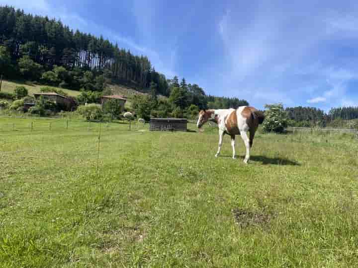 Casa para venda em Thizy