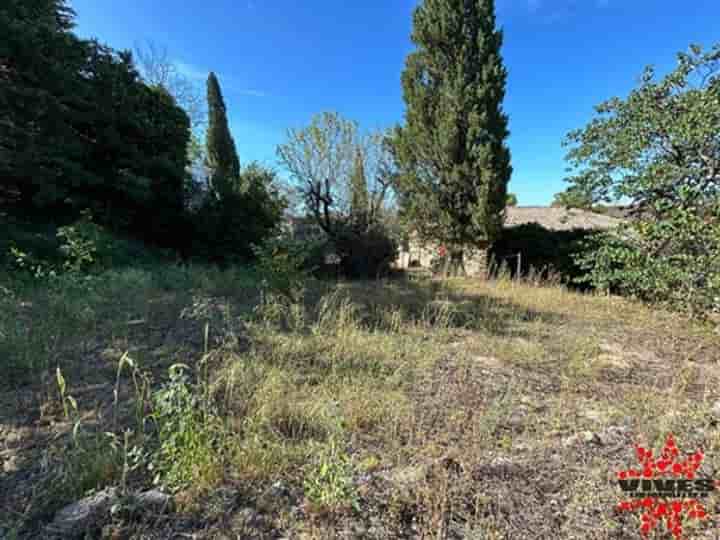 Outro para venda em Pézenas