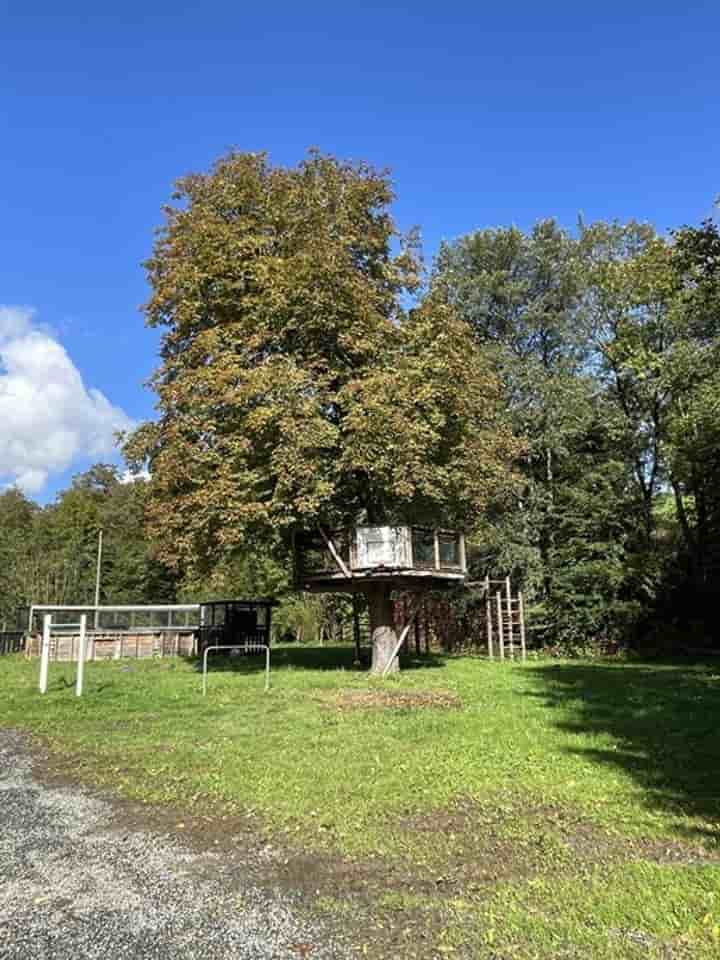 Autre à vendre à Moutier-Malcard