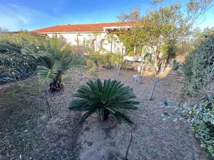 House for sale in Leucate