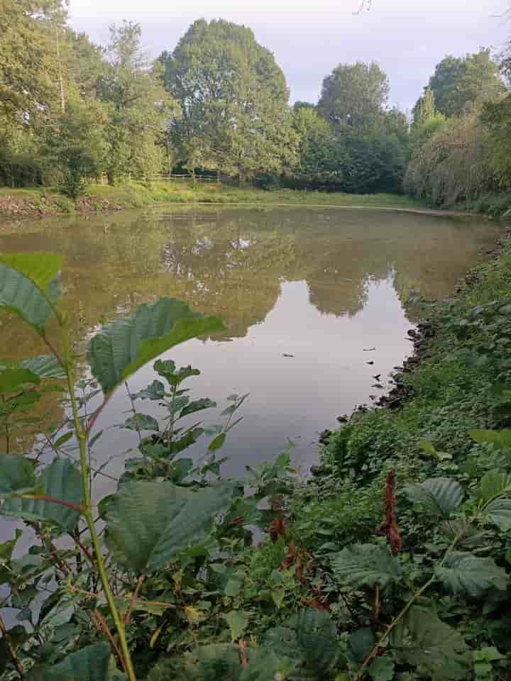 Autre à vendre à 