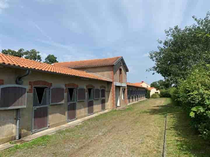 Hus till salu i Saint-Florent-le-Vieil