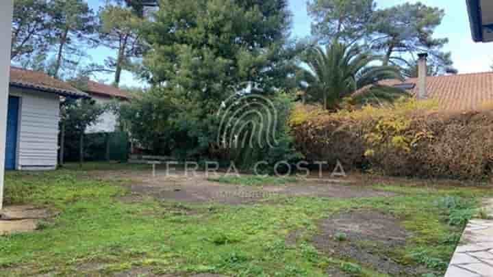 Maison à vendre à Soorts-Hossegor