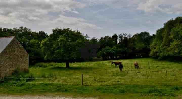 Other for sale in Vannes