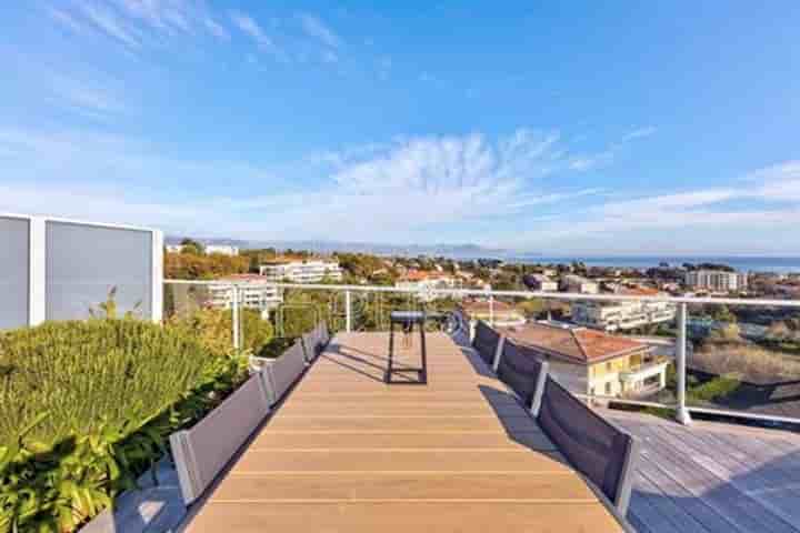 Appartement à vendre à Antibes