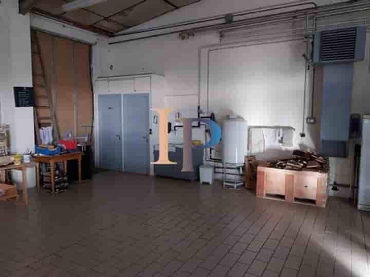 Altro in vendita a Pouilly-sous-Charlieu