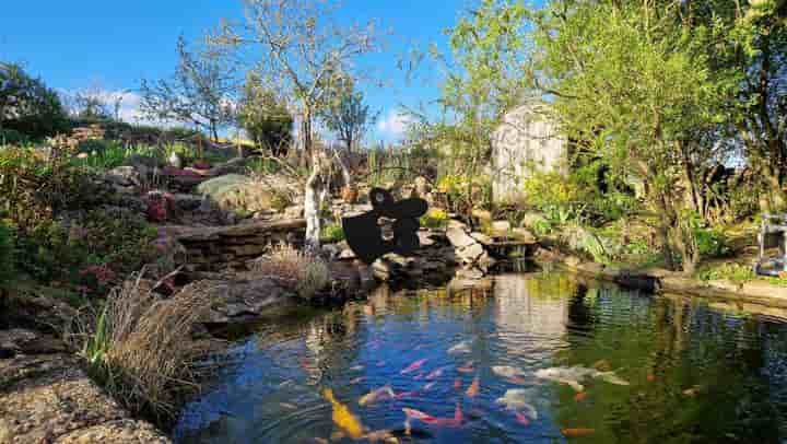 Casa para venda em BERTHOLENE