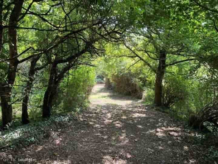 Altro in vendita a Nanteuil-en-Vallée