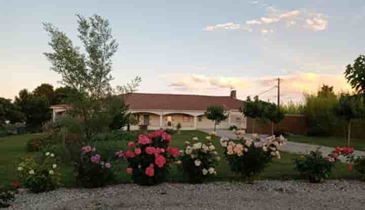 Other for sale in LHonor-de-Cos