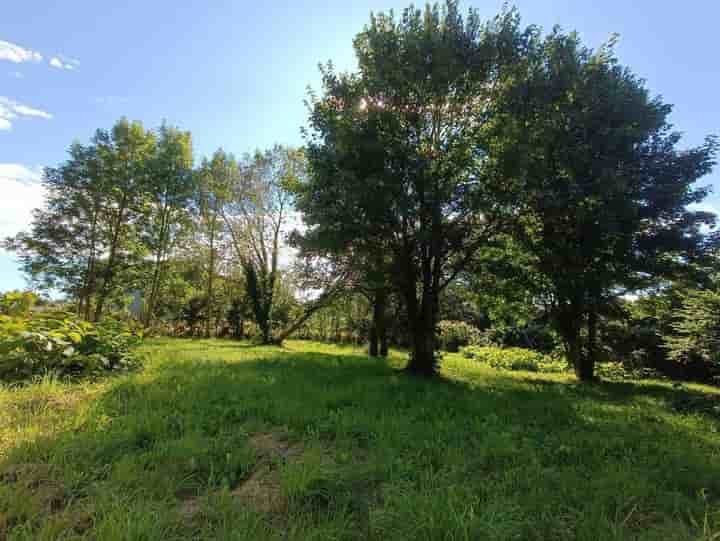 Other for sale in 