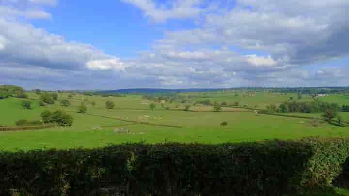 Sonstiges zum Verkauf in Paray-le-Monial