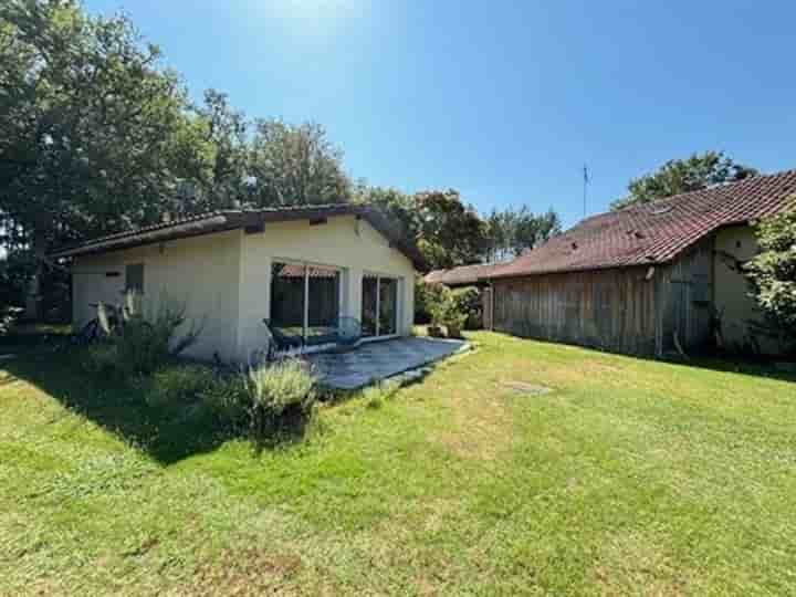 Other for sale in Garein