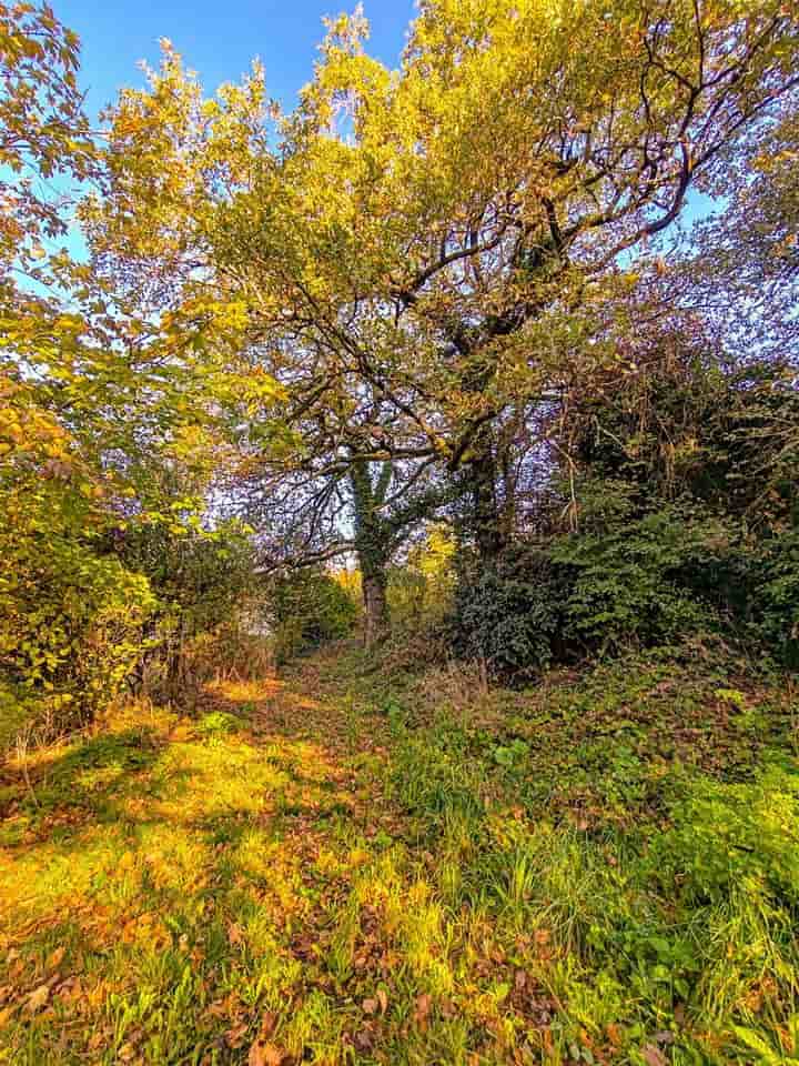 Other for sale in Eymet