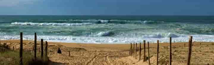 Casa para venda em Soorts-Hossegor