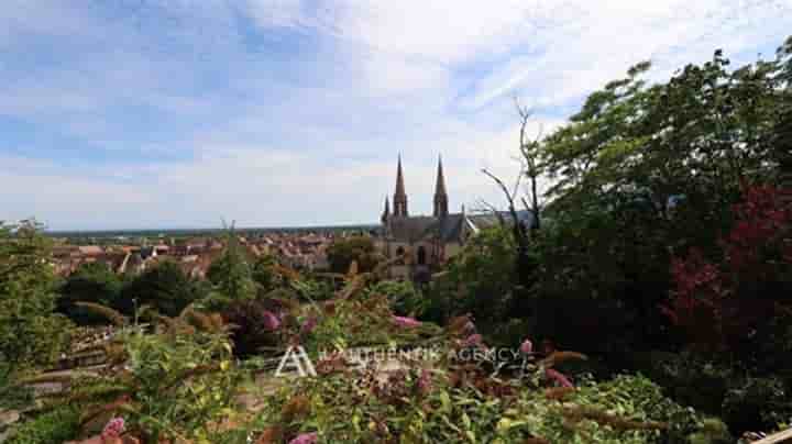 Sonstiges zum Verkauf in Obernai