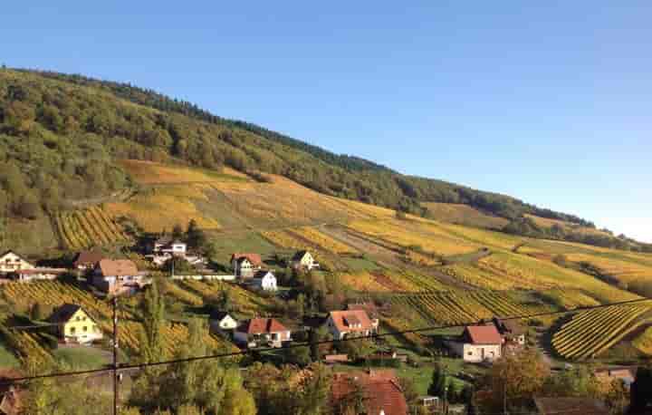 House for sale in Obernai