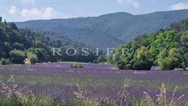 Sonstiges zum Verkauf in Ménerbes