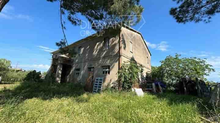 Altro in vendita a Castiglione del Lago