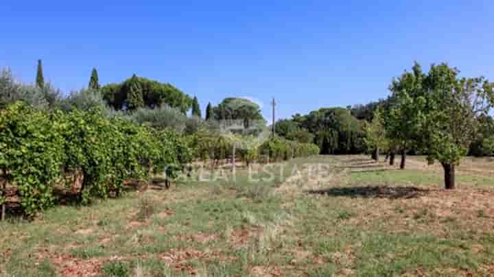 Casa in vendita a Castiglione del Lago