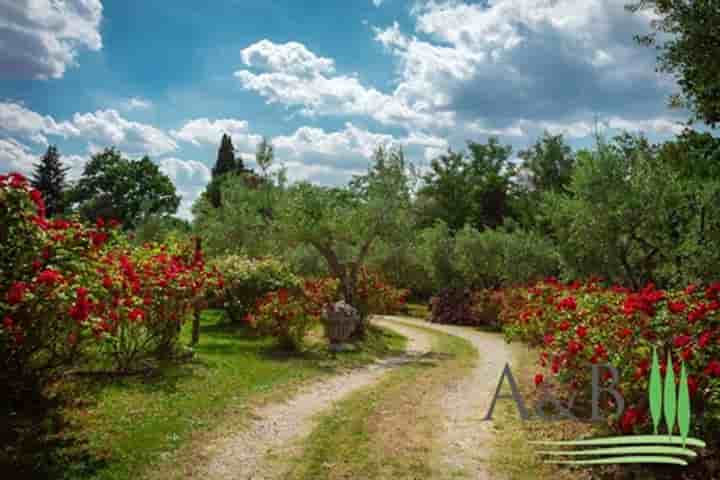 Maison à vendre à Cortona