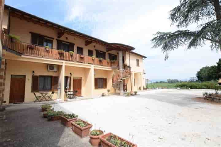 Other for sale in Castiglione del Lago