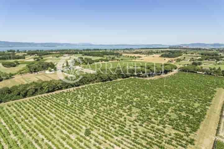 Maison à vendre à Castiglione del Lago