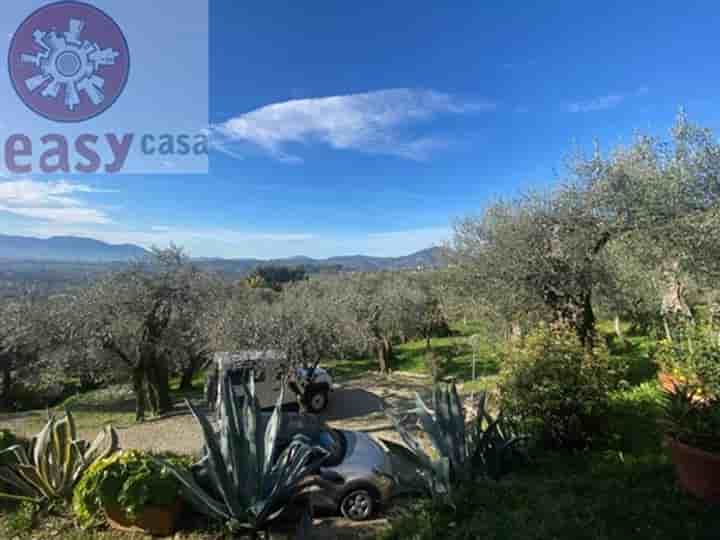 House for sale in Lucca