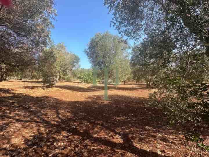 Other for sale in Ostuni