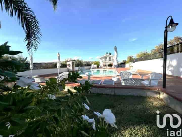 Other for sale in Noto