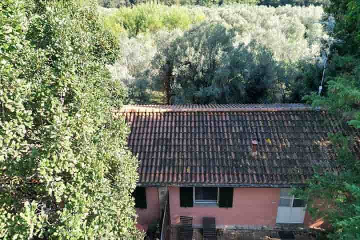 House for sale in Cecina