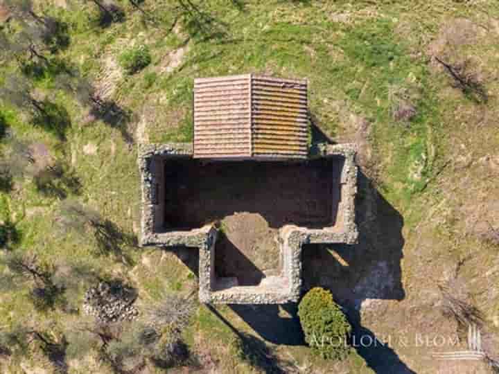 Casa para venda em Sinalunga