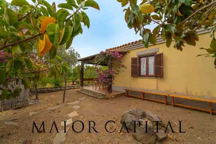 Casa para venda em Budoni